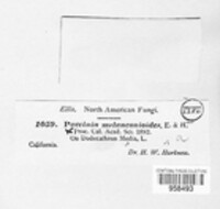 Image Associated With the Occurence
